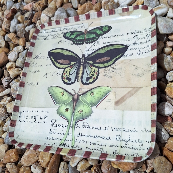 Malamine Serving Tray Butterfly Kitchen Hoem Decor Coffee Table Plastic Acrylic - Picture 5 of 10